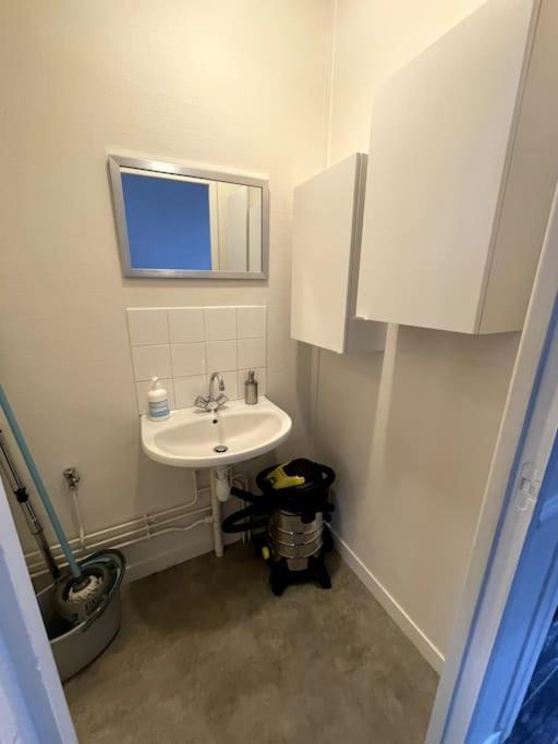 Holiday home Agreable Maison De Dans Belle Avenue Orleans